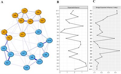 Psychosomatic health status and corresponding comorbid network analysis of college students in traditional Chinese medicine schools